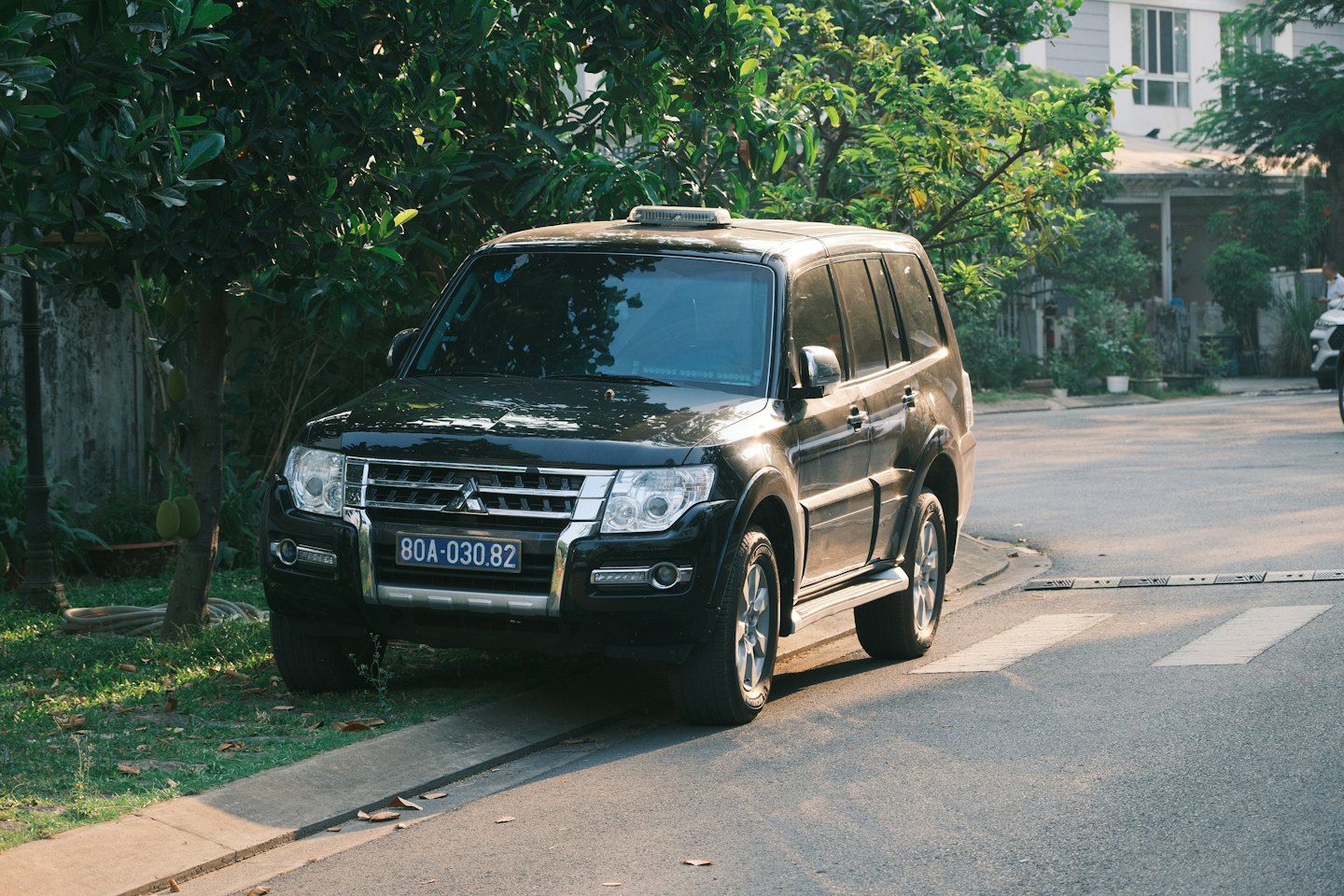 Black SUV parked on a quiet residential street.